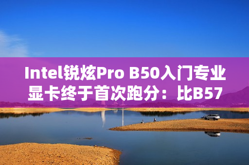 Intel锐炫Pro B50入门专业显卡终于首次跑分：比B570慢了约20%
