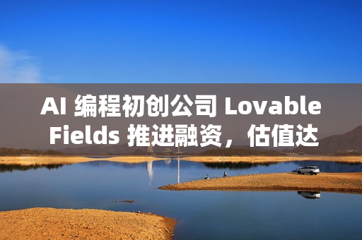 AI 编程初创公司 Lovable Fields 推进融资，估值达 40 亿美元
