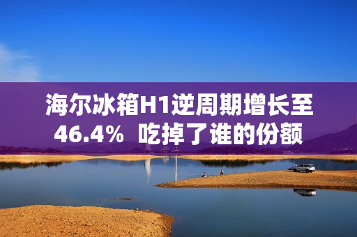 海尔冰箱H1逆周期增长至46.4%  吃掉了谁的份额