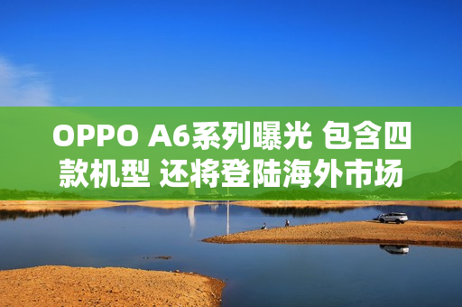 OPPO A6系列曝光 包含四款机型 还将登陆海外市场