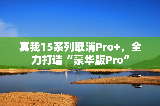 真我15系列取消Pro+，全力打造“豪华版Pro”