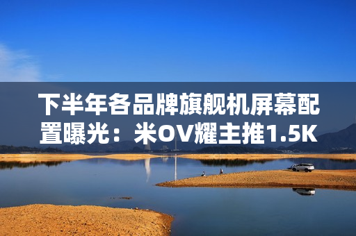 下半年各品牌旗舰机屏幕配置曝光：米OV耀主推1.5K屏