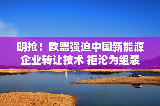 明抢!欧盟强迫中国新能源企业转让技术 拒沦为组装厂:我国升级技术出口限制 明抢!欧盟强迫中国新能源企业转让技术 拒沦为组装厂:我国升级技术出口限制