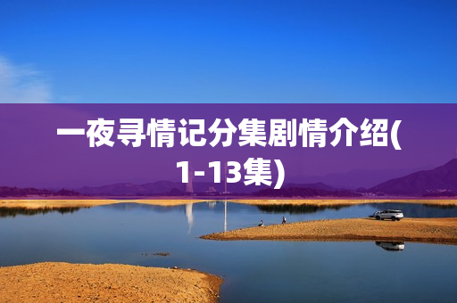 一夜寻情记分集剧情介绍(1-13集)