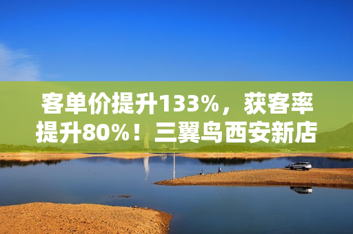 客单价提升133%,获客率提升80%!三翼鸟西安新店一年盘点 客单价提升133%,获客率提升80%!三翼鸟西安新店一年盘点