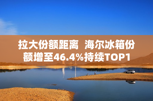 拉大份额距离  海尔冰箱份额增至46.4%持续TOP1