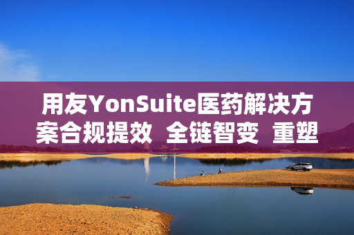 用友YonSuite医药解决方案合规提效 全链智变 重塑医药新生态! 用友YonSuite医药解决方案合规提效 全链智变 重塑医药新生态!