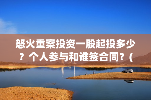 怒火重案投资一股起投多少？个人参与和谁签合同？(怒火重案斥资多少)