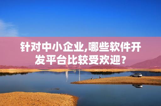 针对中小企业,哪些软件开发平台比较受欢迎？
