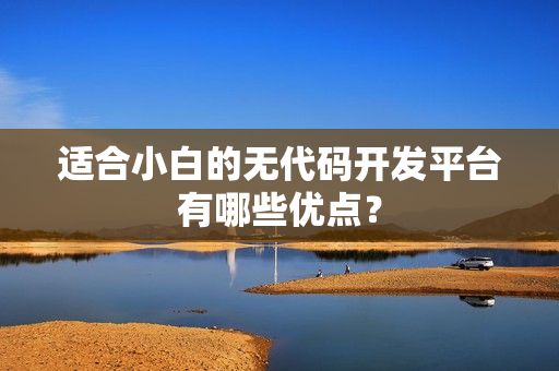 适合小白的无代码开发平台有哪些优点？