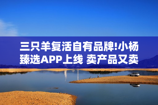 三只羊复活自有品牌!小杨臻选APP上线 卖产品又卖会员