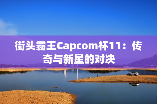 街头霸王Capcom杯11：传奇与新星的对决