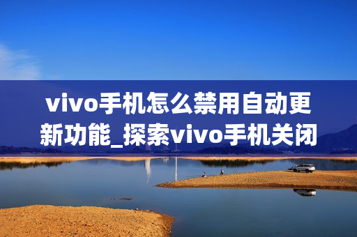 vivo手机怎么禁用自动更新功能_探索vivo手机关闭系统自动更新的多种方法