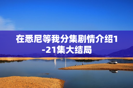 在悉尼等我分集剧情介绍1-21集大结局