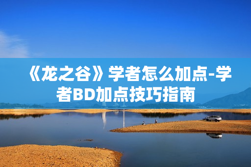《龙之谷》学者怎么加点-学者BD加点技巧指南