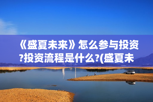 《盛夏未来》怎么参与投资?投资流程是什么?(盛夏未来ts)