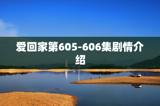 爱回家第605-606集剧情介绍 爱回家第605-606集剧情介绍