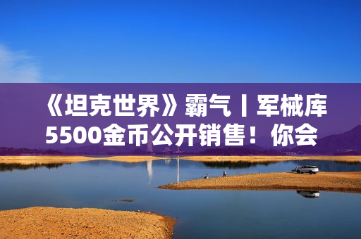 《坦克世界》霸气丨军械库5500金币公开销售！你会为自己的爱车蟋蟀15购置这个“刺猬”3D风格吗？