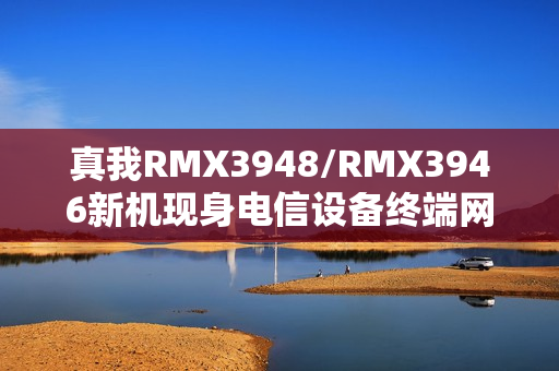 真我RMX3948/RMX3946新机现身电信设备终端网:4880mAh电池、屏幕分辨率720×1604 真我RMX3948/RMX3946新机现身电信设备终端网:4880mAh电池、屏幕分辨率720×1604