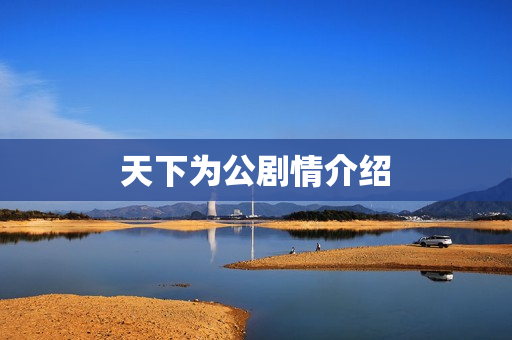 天下为公剧情介绍