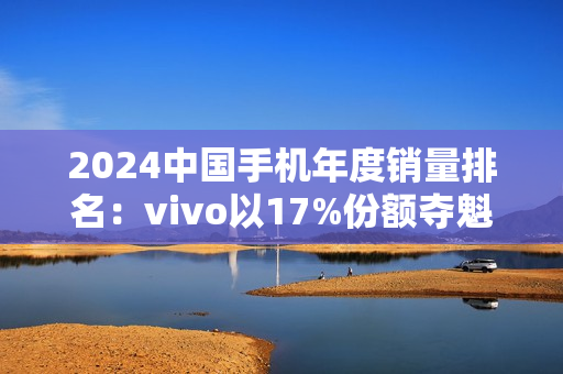 2024中国手机年度销量排名：vivo以17%份额夺魁 连续第4年国产第一 成功靠本分