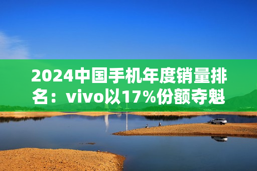 2024中国手机年度销量排名：vivo以17%份额夺魁，连续第4年国产第一，成功靠本分
