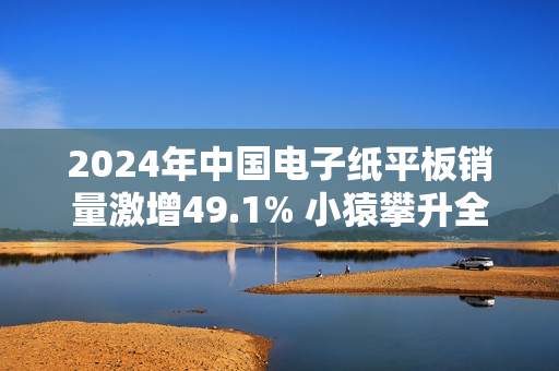 2024年中国电子纸平板销量激增49.1% 小猿攀升全渠道第一