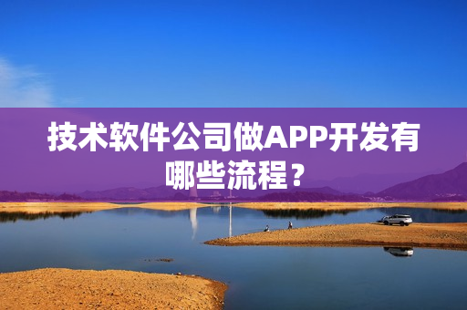 技术软件公司做APP开发有哪些流程？