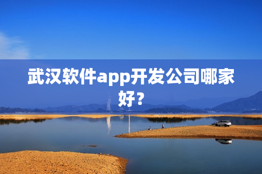 武汉软件app开发公司哪家好? 武汉软件app开发公司哪家好?