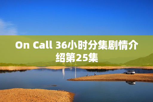 On Call 36小时分集剧情介绍第25集