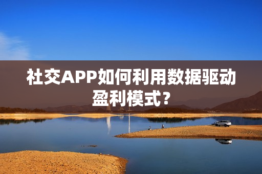社交APP如何利用数据驱动盈利模式？