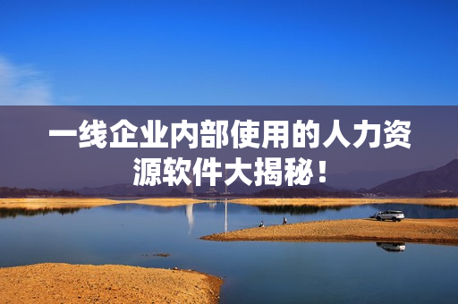 一线企业内部使用的人力资源软件大揭秘! 一线企业内部使用的人力资源软件大揭秘!