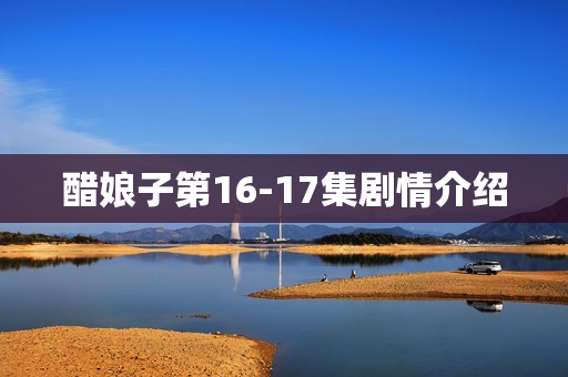 醋娘子第16-17集剧情介绍 醋娘子第16-17集剧情介绍