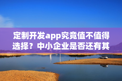 定制开发app究竟值不值得选择？中小企业是否还有其他选择？