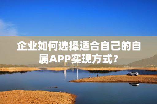 企业如何选择适合自己的自属APP实现方式？