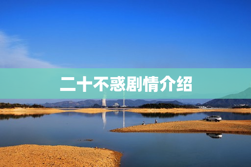 二十不惑剧情介绍