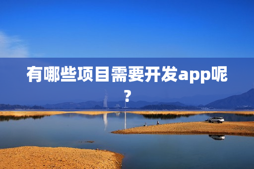 有哪些项目需要开发app呢?