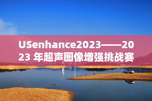 USenhance2023——2023 年超声图像增强挑战赛