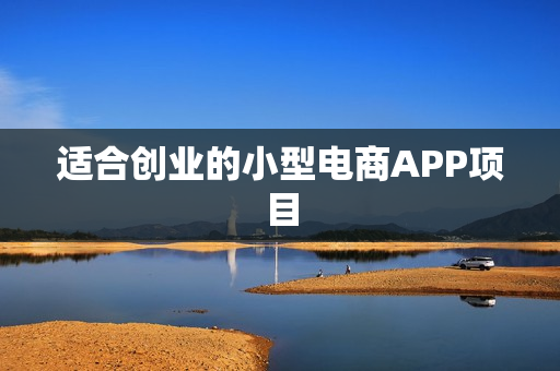适合创业的小型电商APP项目