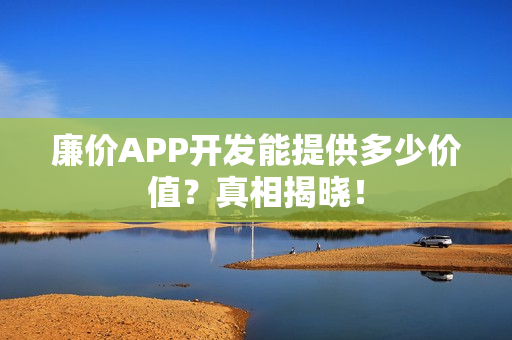 廉价APP开发能提供多少价值？真相揭晓！