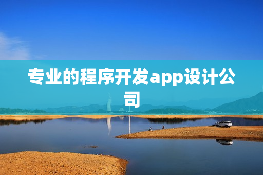 专业的程序开发app设计公司 专业的程序开发app设计公司