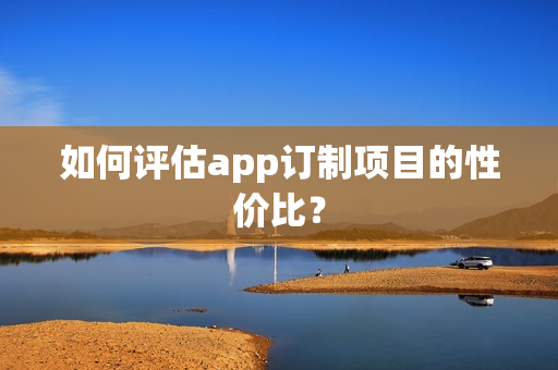 如何评估app订制项目的性价比？