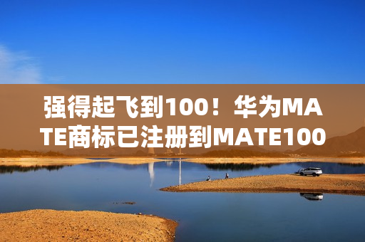 强得起飞到100！华为MATE商标已注册到MATE100
