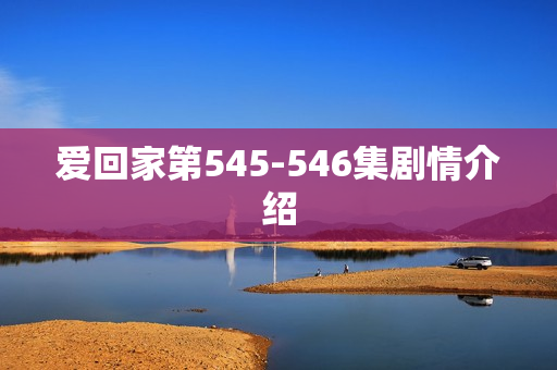 爱回家第545-546集剧情介绍