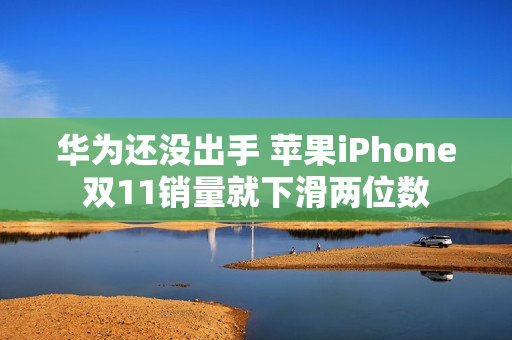 华为还没出手 苹果iPhone双11销量就下滑两位数