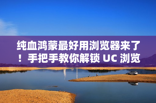 纯血鸿蒙最好用浏览器来了！手把手教你解锁 UC 浏览器（文中有惊喜）