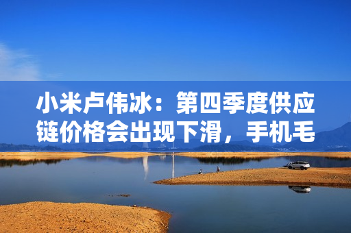 小米卢伟冰：第四季度供应链价格会出现下滑，手机毛利率表现会更好