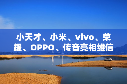 小天才、小米、vivo、荣耀、OPPO、传音亮相维信诺 F1 屏幕发光材料体系发布仪式 小天才、小米、vivo、荣耀、OPPO、传音亮相维信诺 F1 屏幕发光材料体系发布仪式