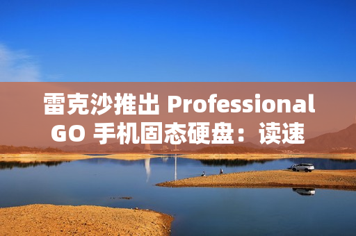 雷克沙推出 Professional GO 手机固态硬盘：读速 1050MB/s，999 元起