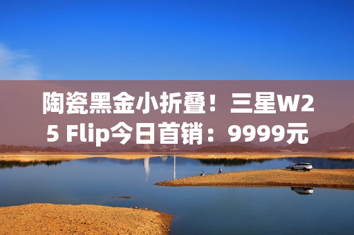 陶瓷黑金小折叠！三星W25 Flip今日首销：9999元